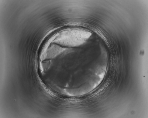 X0000098120984200805021152