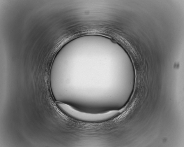 X0000098120985200805021152
