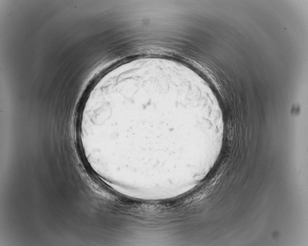 X0000098120987200805021152