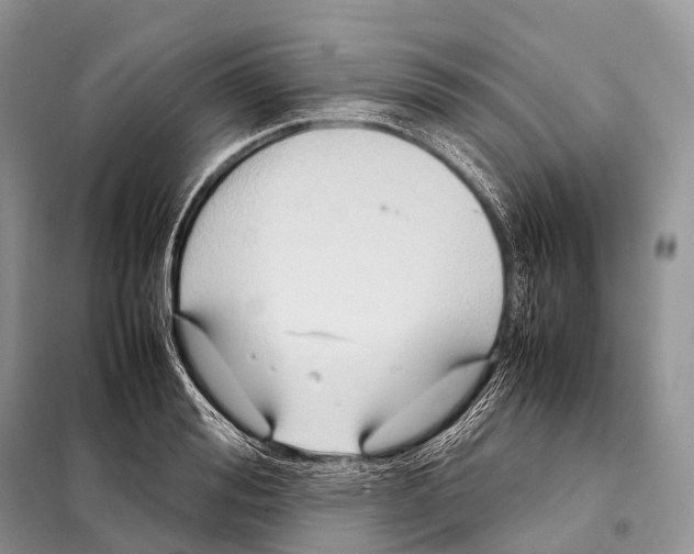 X0000098120988200805021152