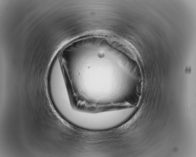 X0000098120989200805021152