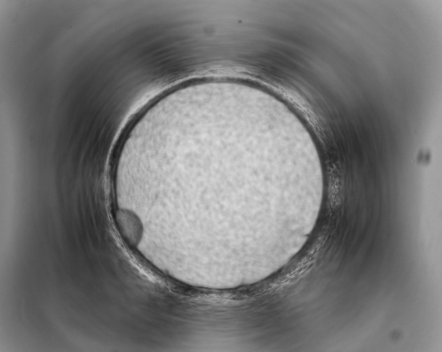 X0000098120990200805021152