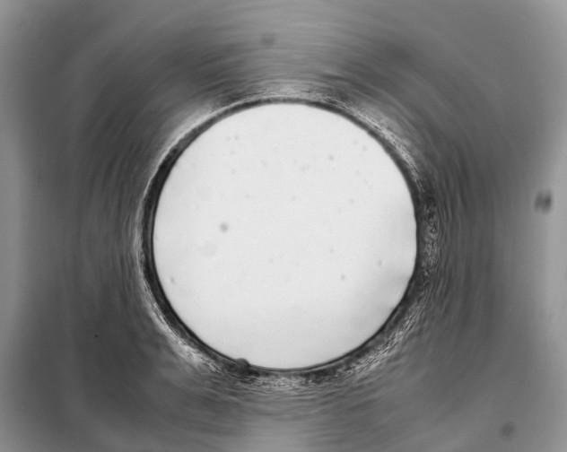 X0000098120991200805021152