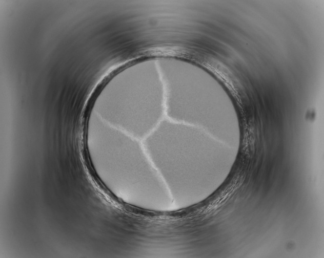 X0000098120992200805021152