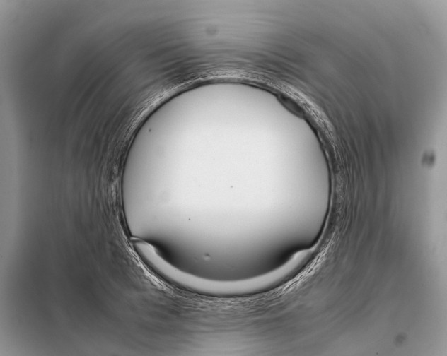 X0000098120993200805021152