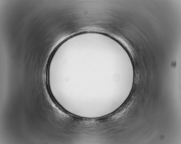 X0000098120999200805021152