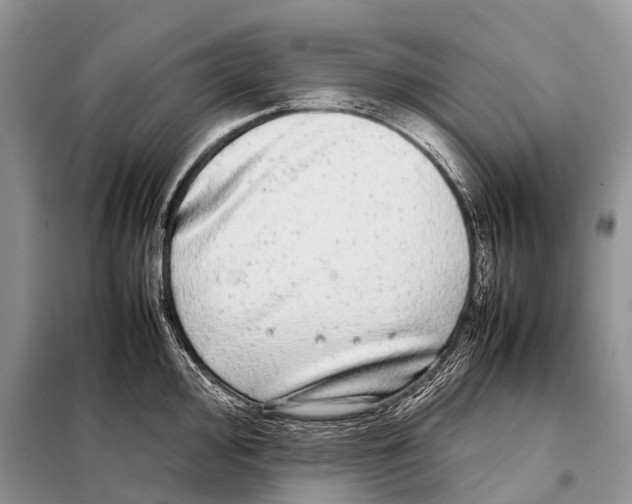 X0000098121000200805021152