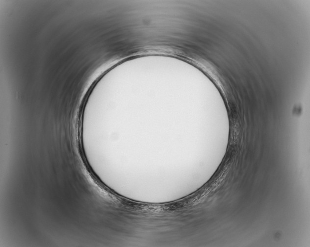 X0000098121003200805021152
