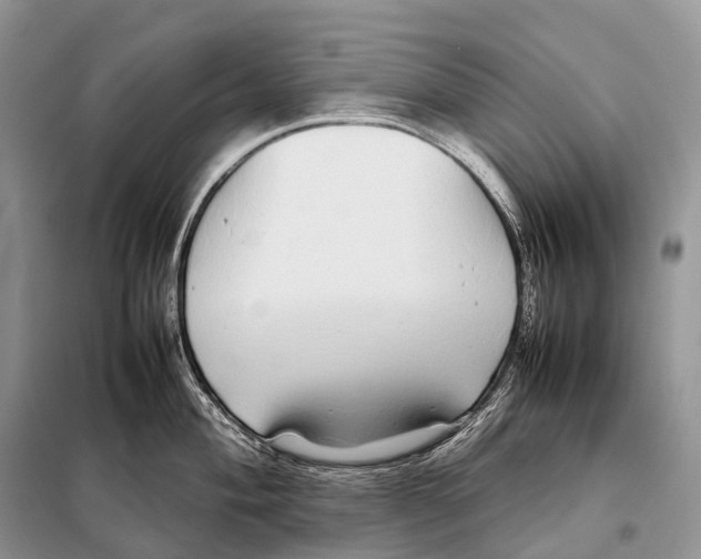 X0000098121004200805021152