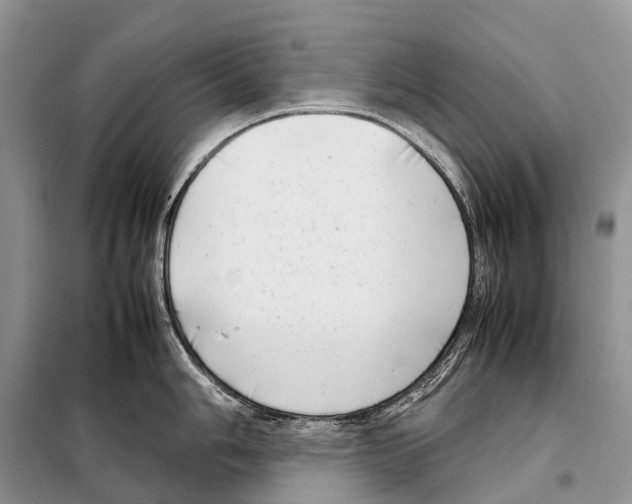 X0000098121006200805021152