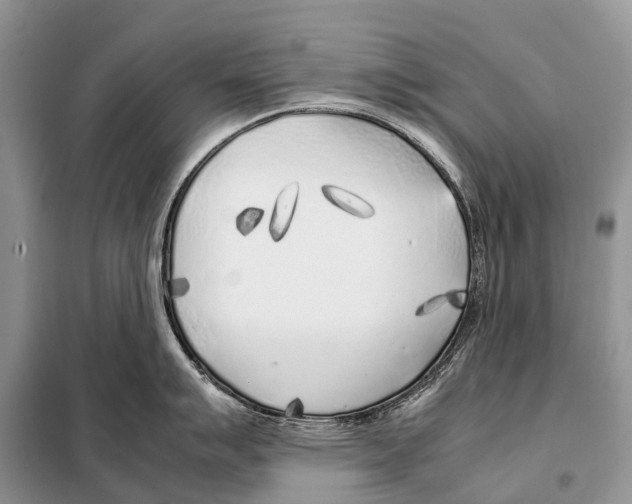 X0000098121007200805021152