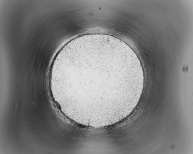 X0000098121008200805021152