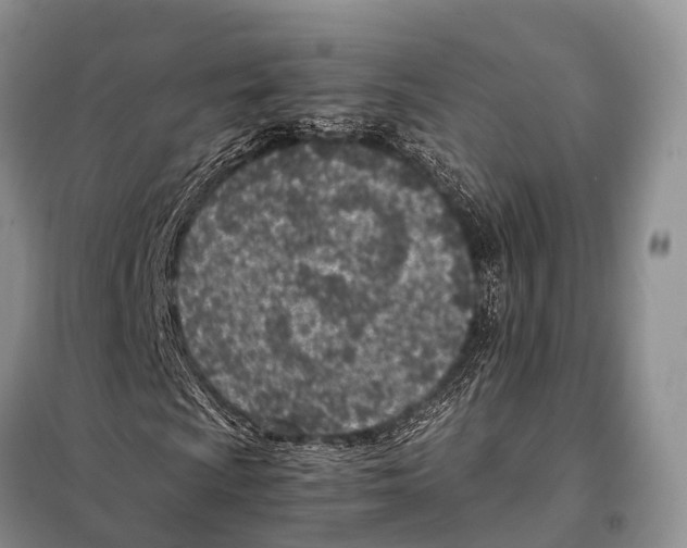 X0000098121009200805021151