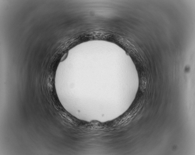 X0000098121010200805021151