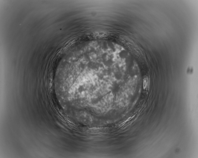 X0000098121011200805021151