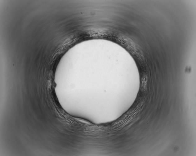 X0000098121012200805021151