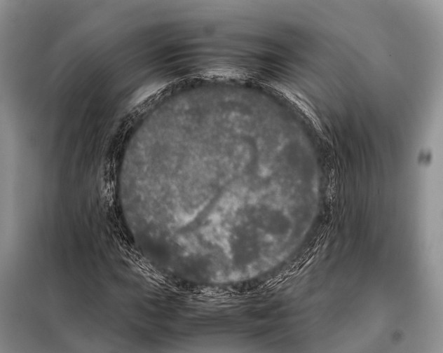 X0000098121015200805021151