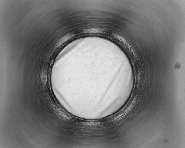 X0000098121017200805021151