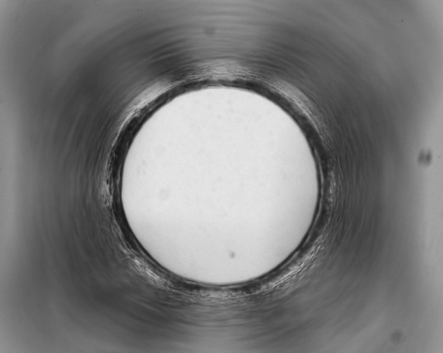 X0000098121018200805021151