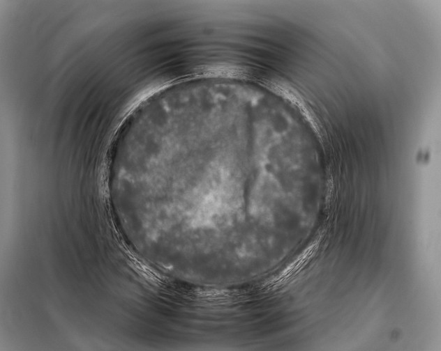X0000098121019200805021151