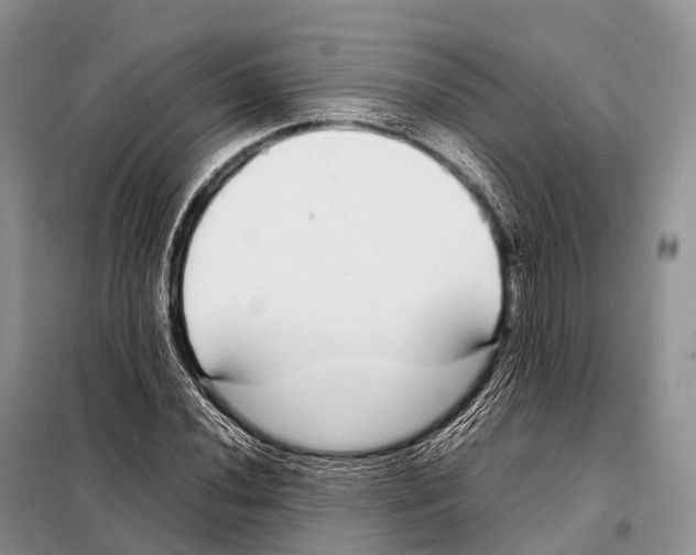 X0000098121020200805021151