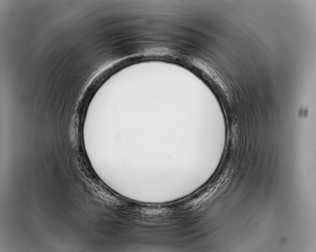 X0000098121021200805021151