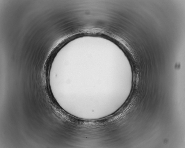 X0000098121022200805021151