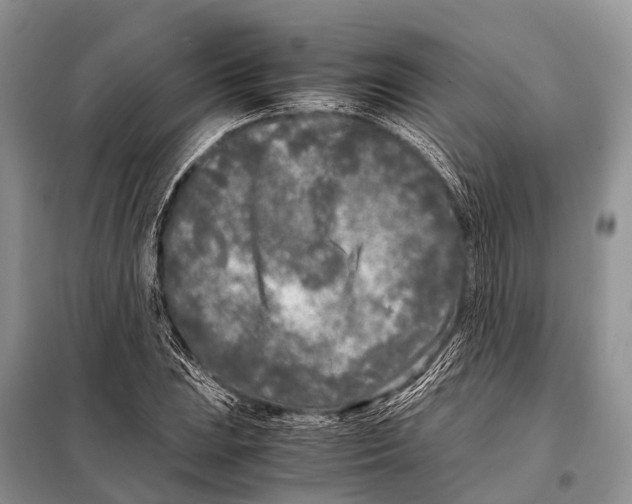 X0000098121023200805021151