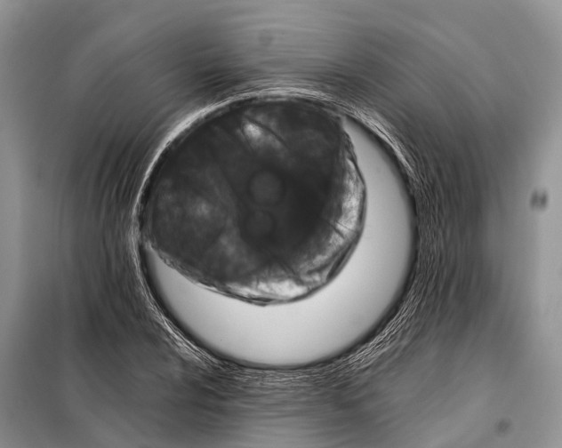 X0000098121024200805021151