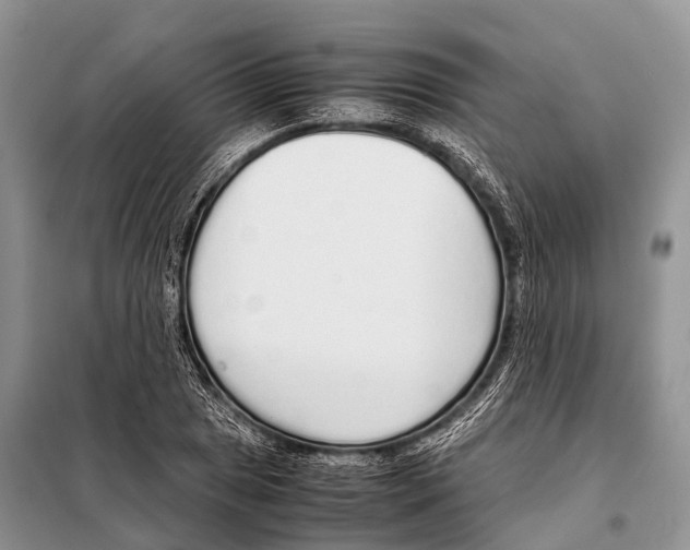 X0000098121025200805021151