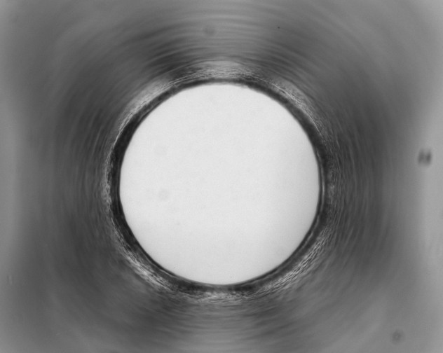 X0000098121026200805021151