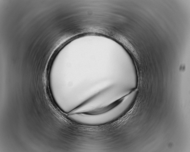 X0000098121028200805021151