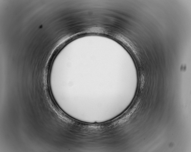 X0000098121029200805021151