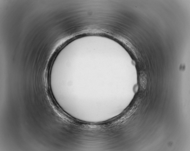 X0000098121030200805021151