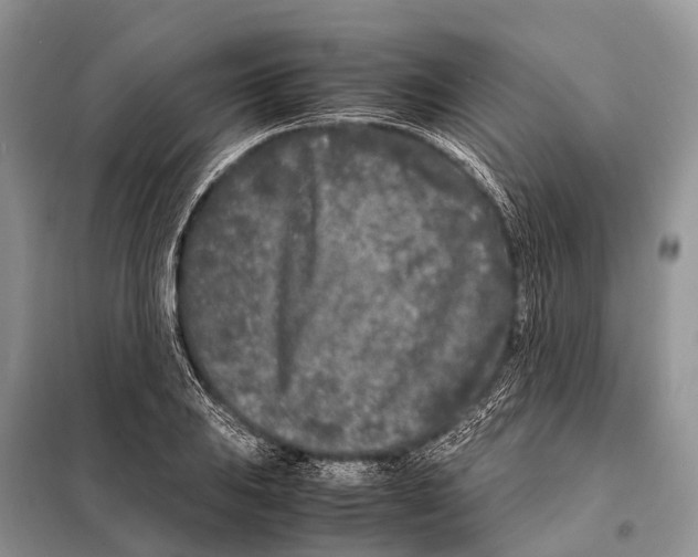 X0000098121031200805021151