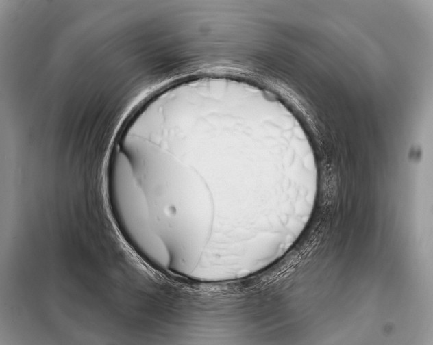 X0000098121032200805021151