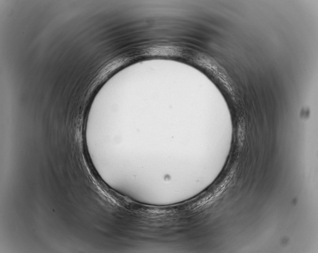 X0000098121033200805021151