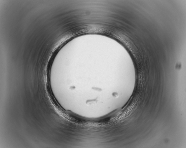 X0000098121034200805021151