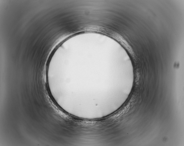 X0000098121036200805021151