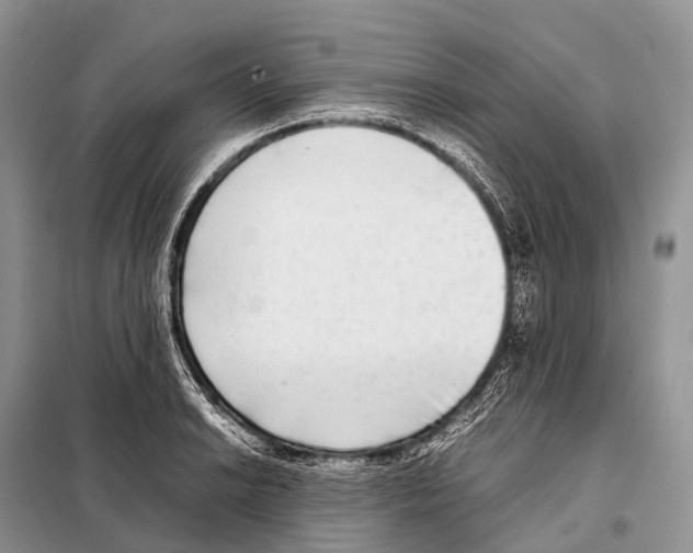 X0000098121038200805021151