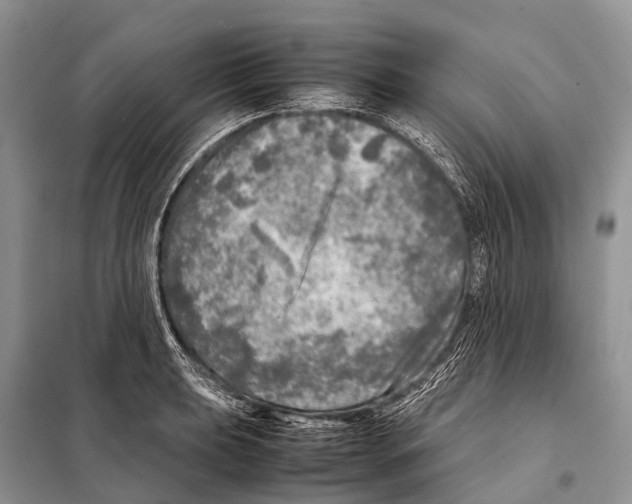 X0000098121039200805021151