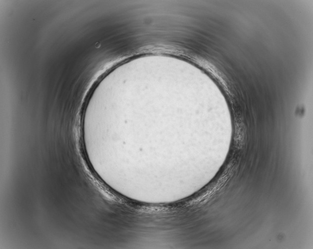 X0000098121040200805021151