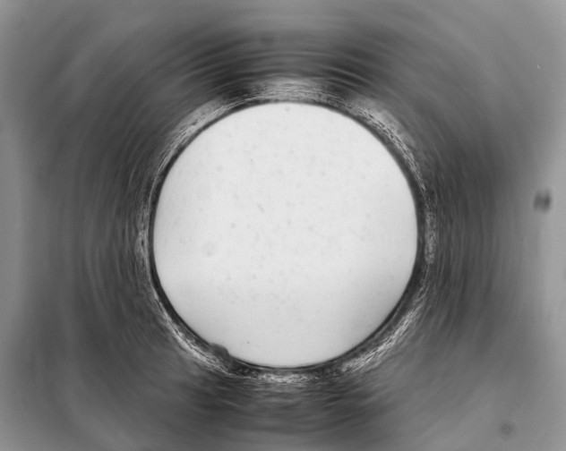 X0000098121041200805021151
