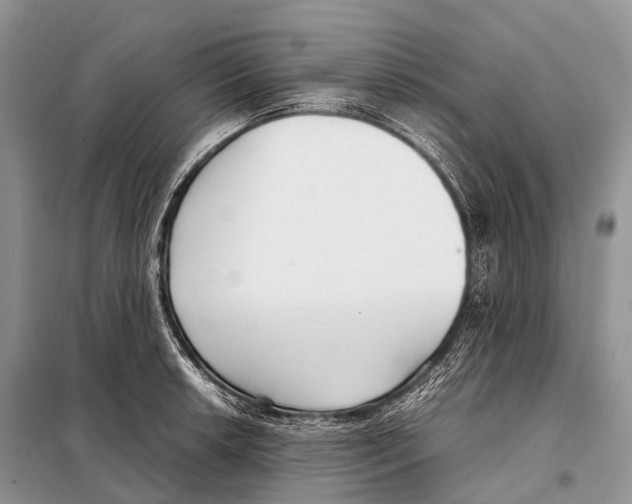 X0000098121042200805021151