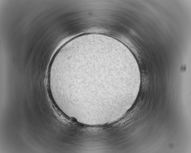 X0000098121044200805021151