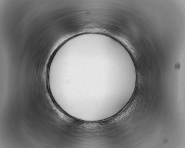 X0000098121046200805021152