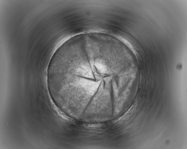 X0000098121047200805021152
