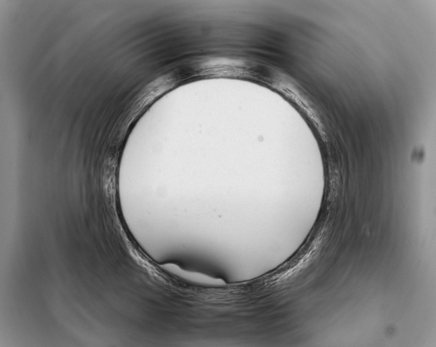 X0000098121049200805021152