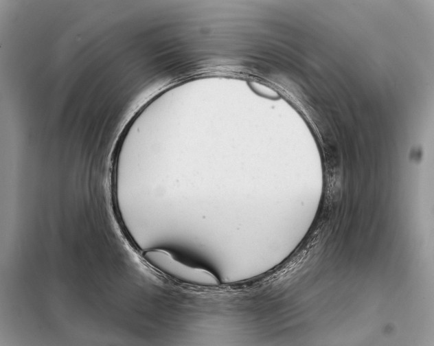 X0000098121050200805021152