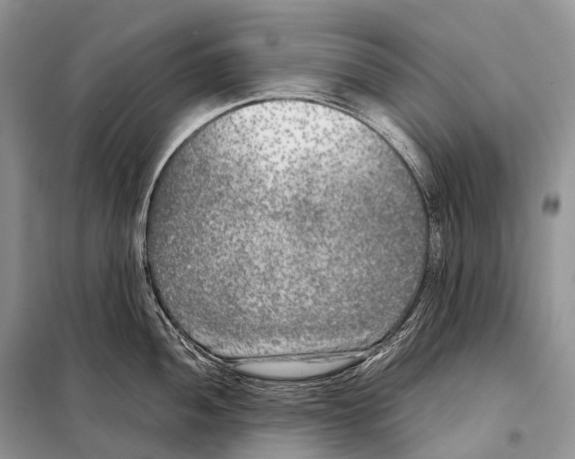 X0000098121052200805021152